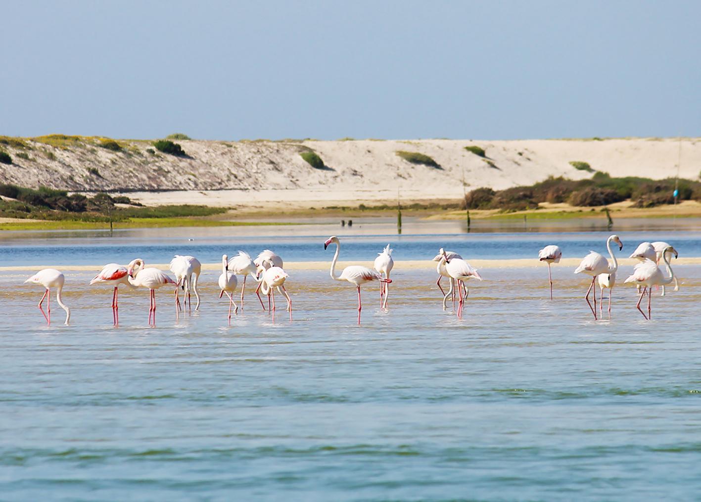 Quinta Dos Poetas Nature Hotel & Apartments Pechão エクステリア 写真