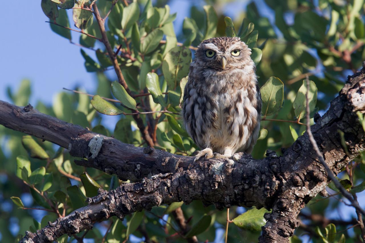 Quinta Dos Poetas Nature Hotel & Apartments Pechão エクステリア 写真